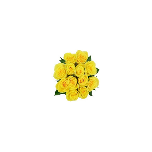 Cub Dozen Yellow Roses