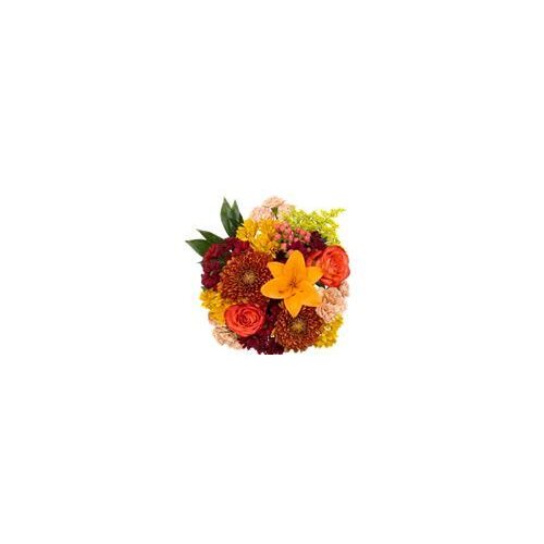 Product Listing Page | Cub