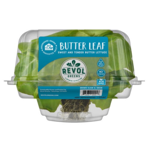 Revol Greens Butter Leaf Lettuce