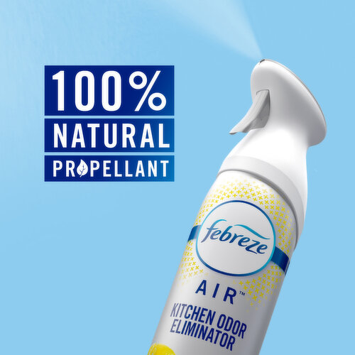 Febreze Air Freshener Coupons! Best Sales & Cheap Deals