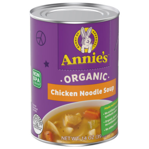 Annie's Organic Chicken Noodle Soup - 14oz