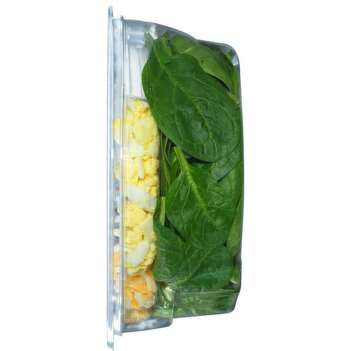 Chard Vacuum Sealer Bags | Quart Size