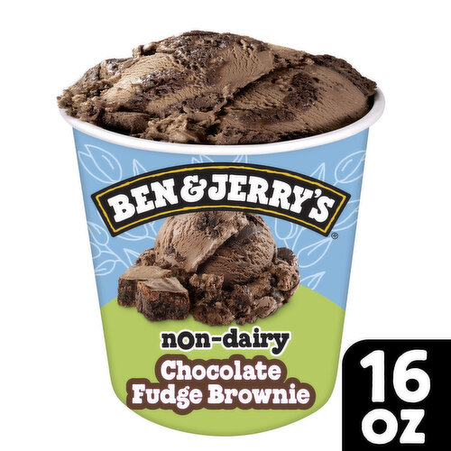 Ben & Jerry's Non-Dairy