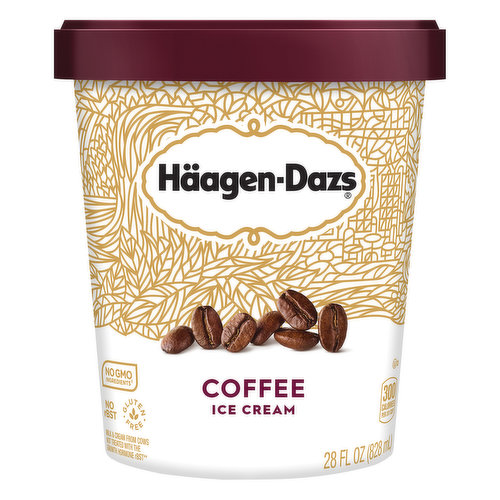 Haagen-Dazs Coffee Ice Cream