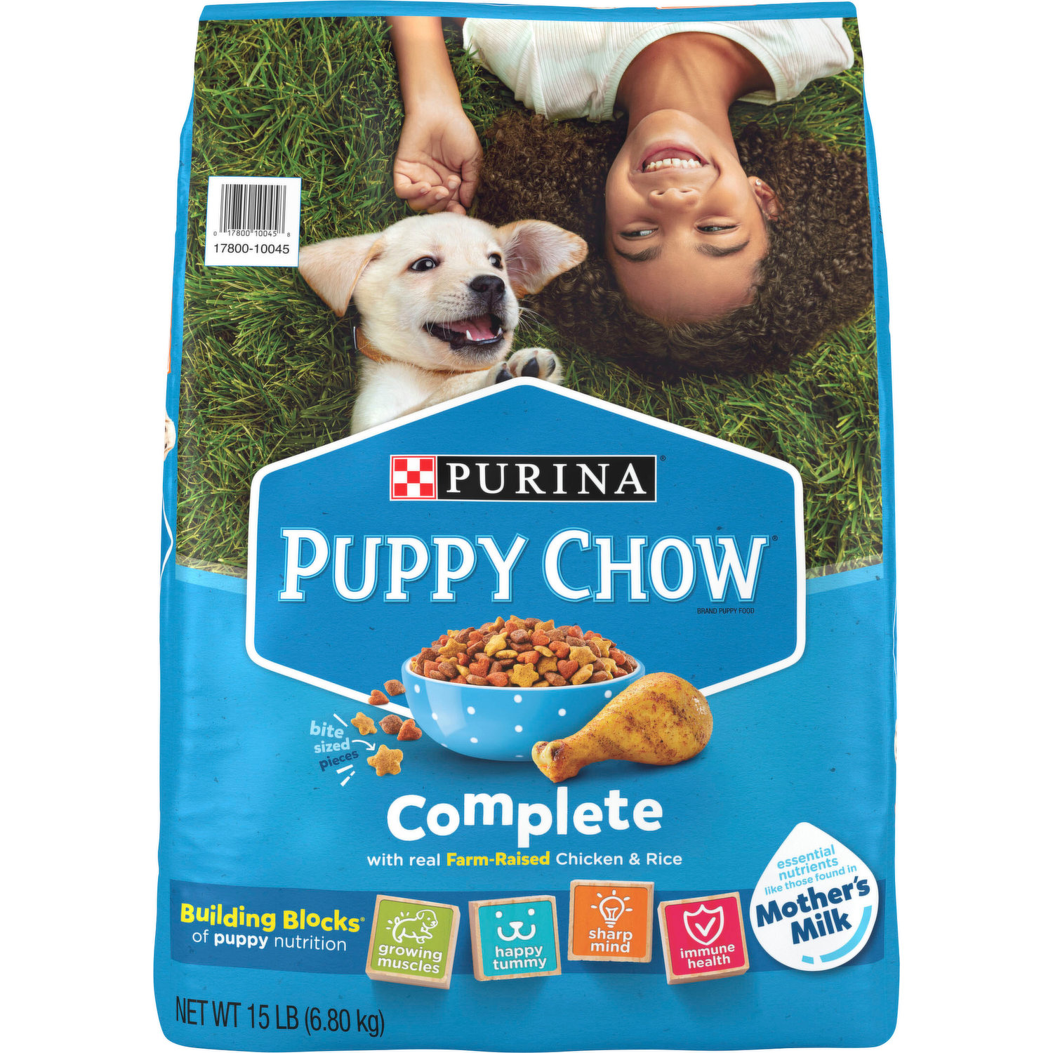 Chow chow puppy food hotsell