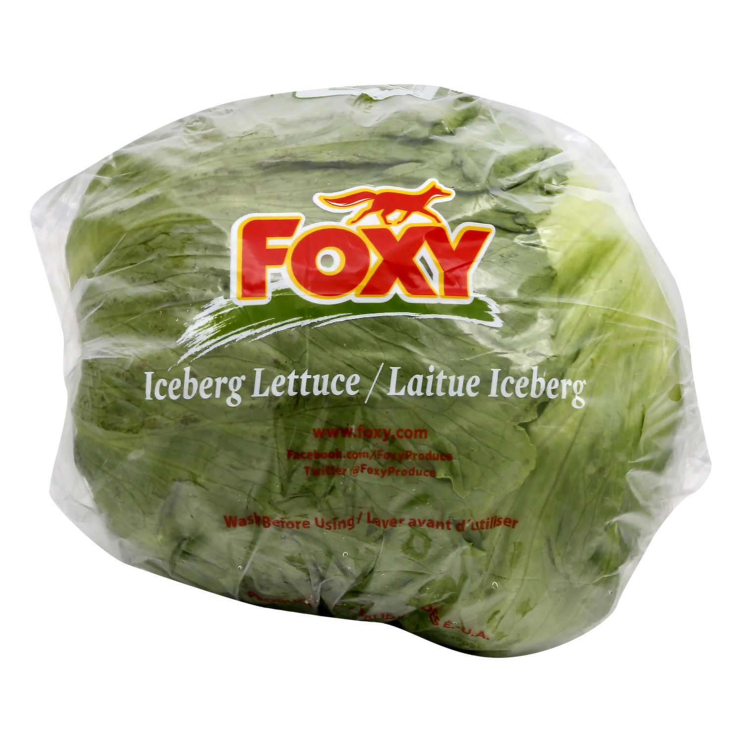 can my dog eat iceberg lettuce