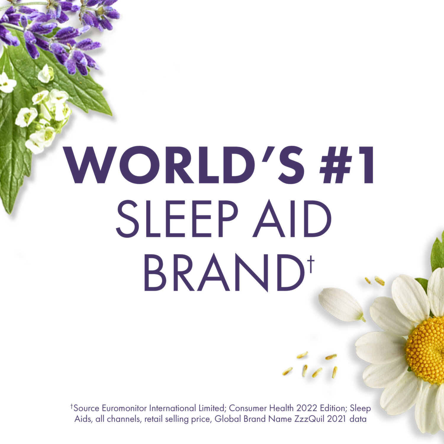 World's #1 Online Sleep Brand