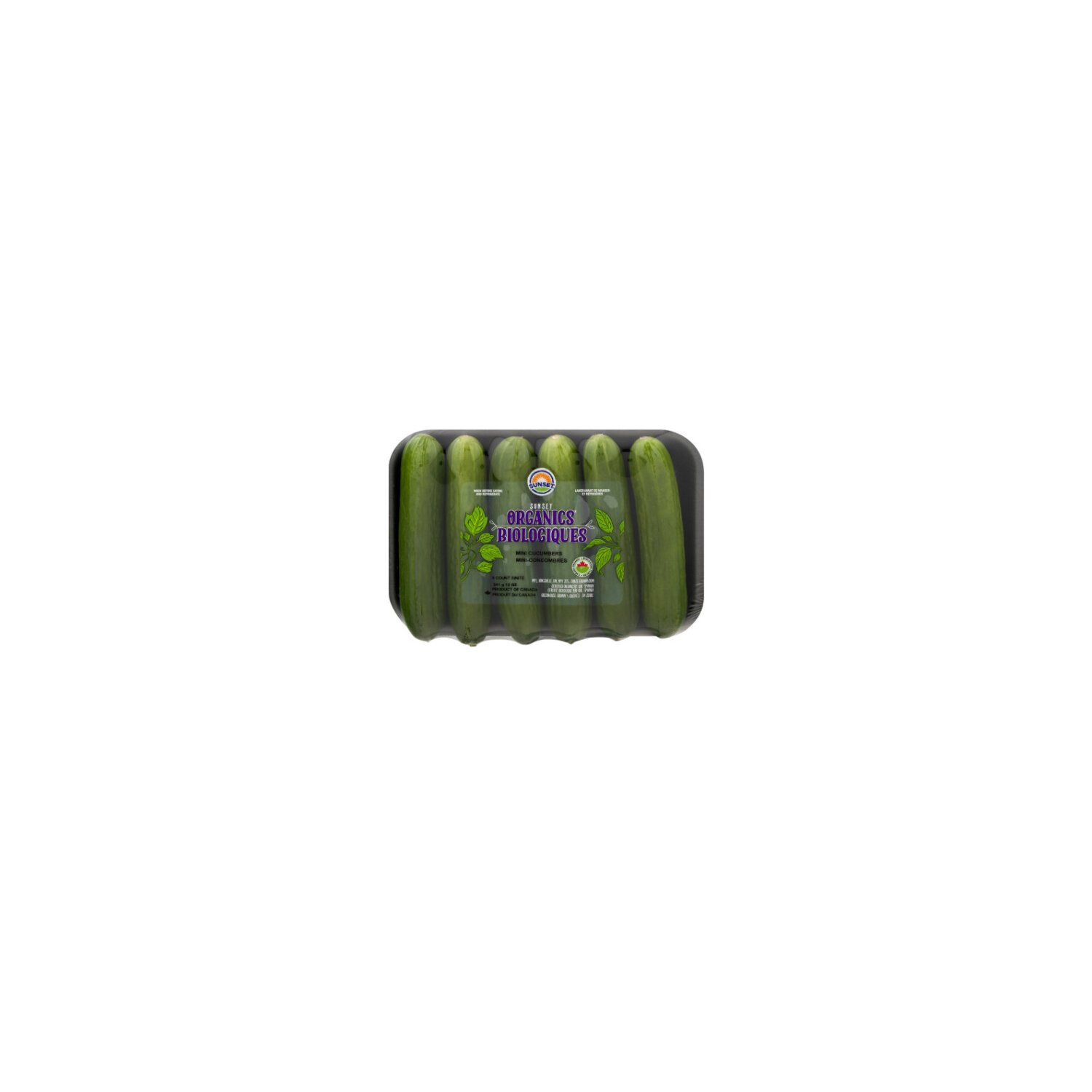 Sunset® Mini Cucumbers, 6 ct / 14 oz - Harris Teeter