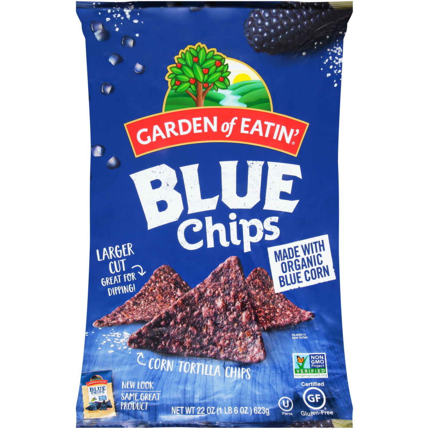 blue nacho chips