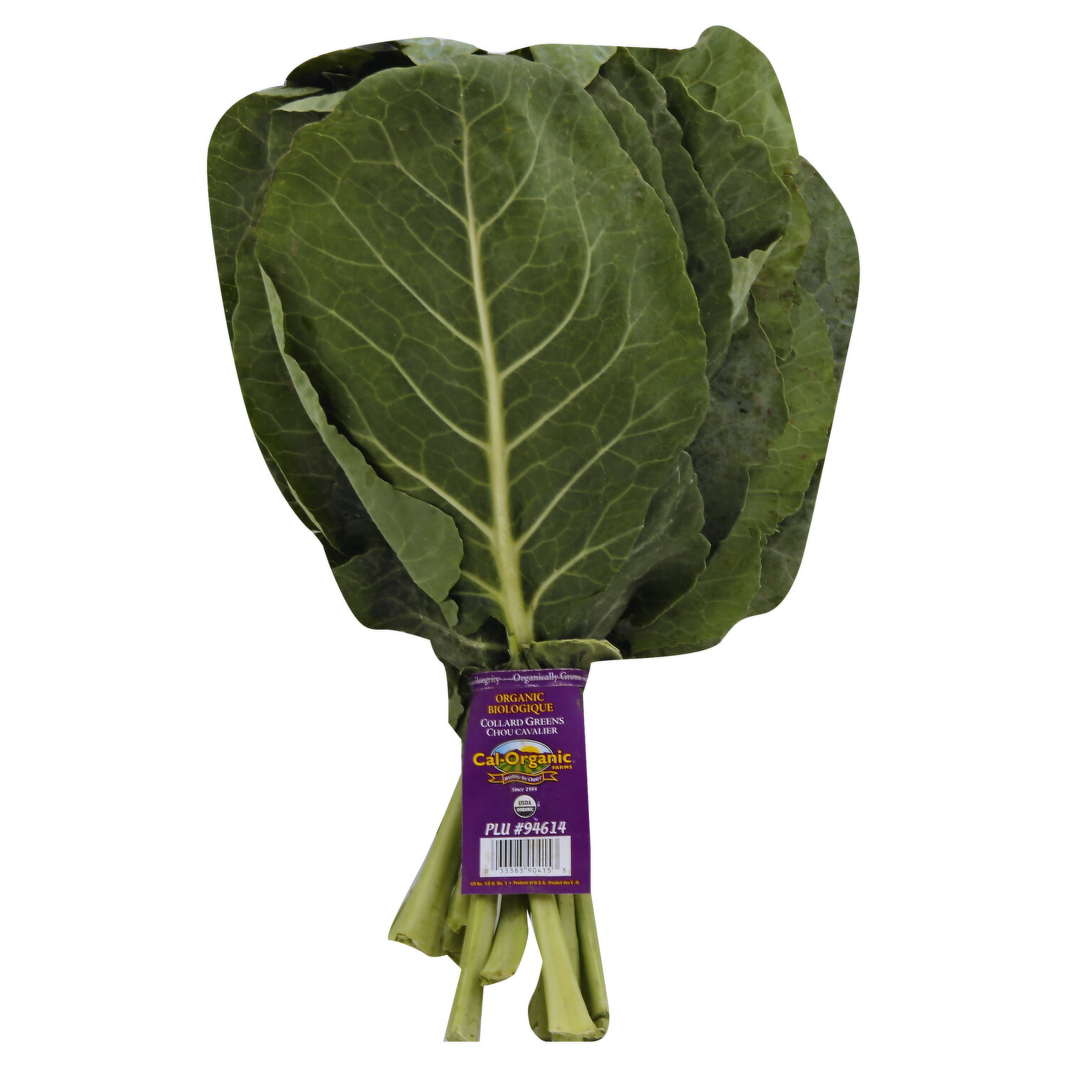 Organic Collard Greens Powder - USA Grown & Freeze-Dried