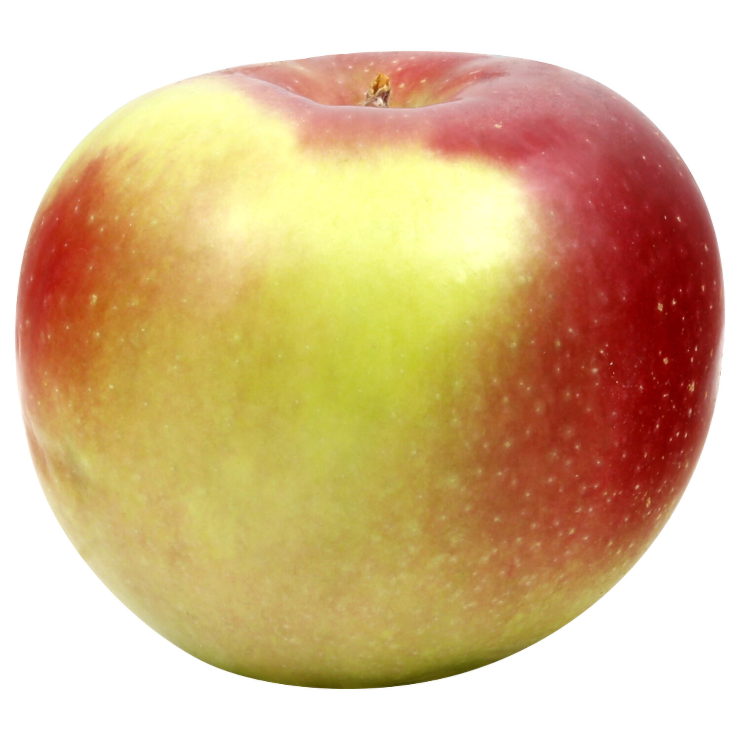 Fresh McIntosh Apple