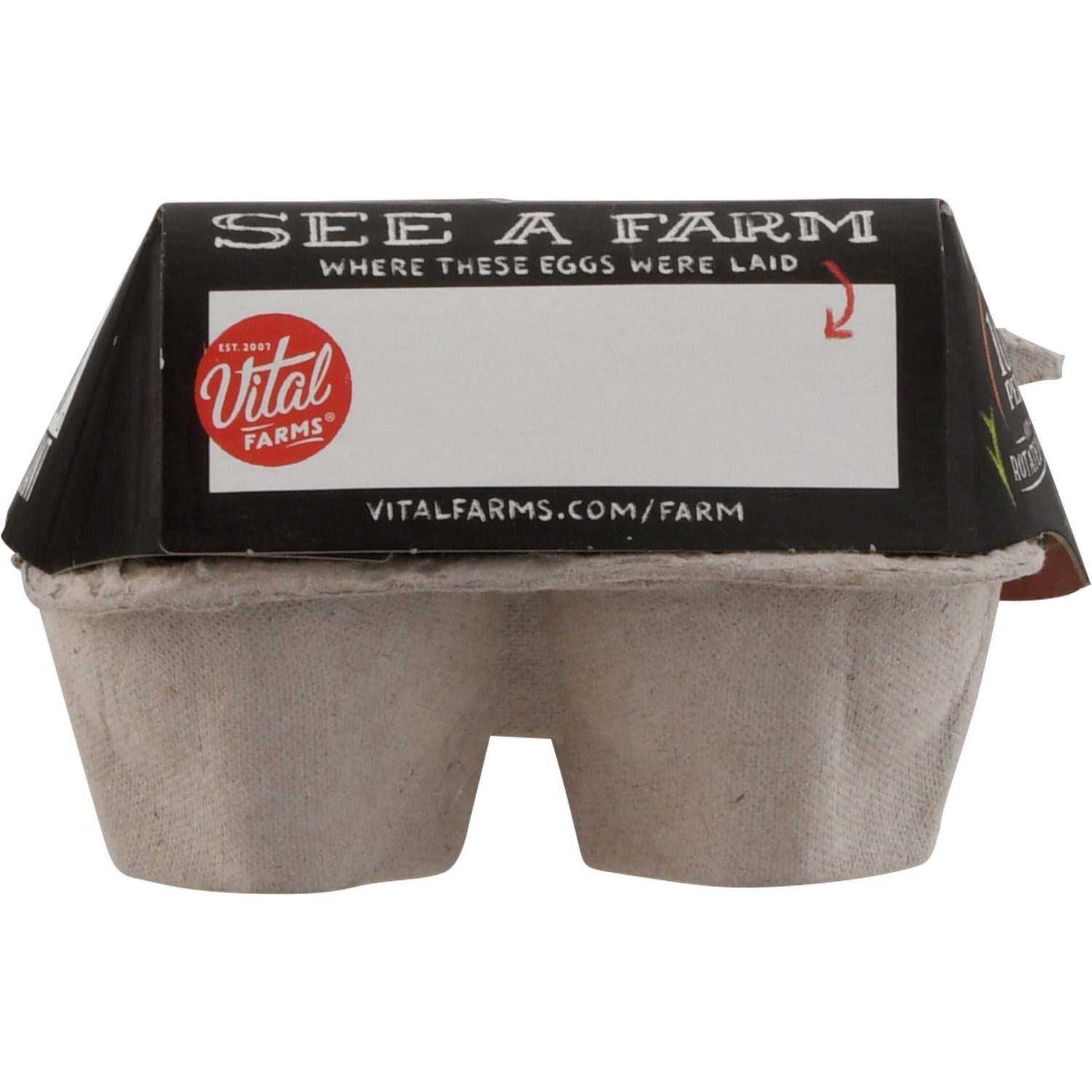 Egg Carton Papier-Mâché - Vital Farms