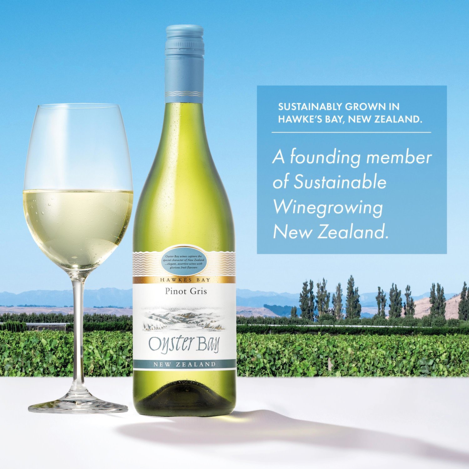 Oyster Bay Pinot Gris 2022 Hawkes Bay, New Zealand - Western