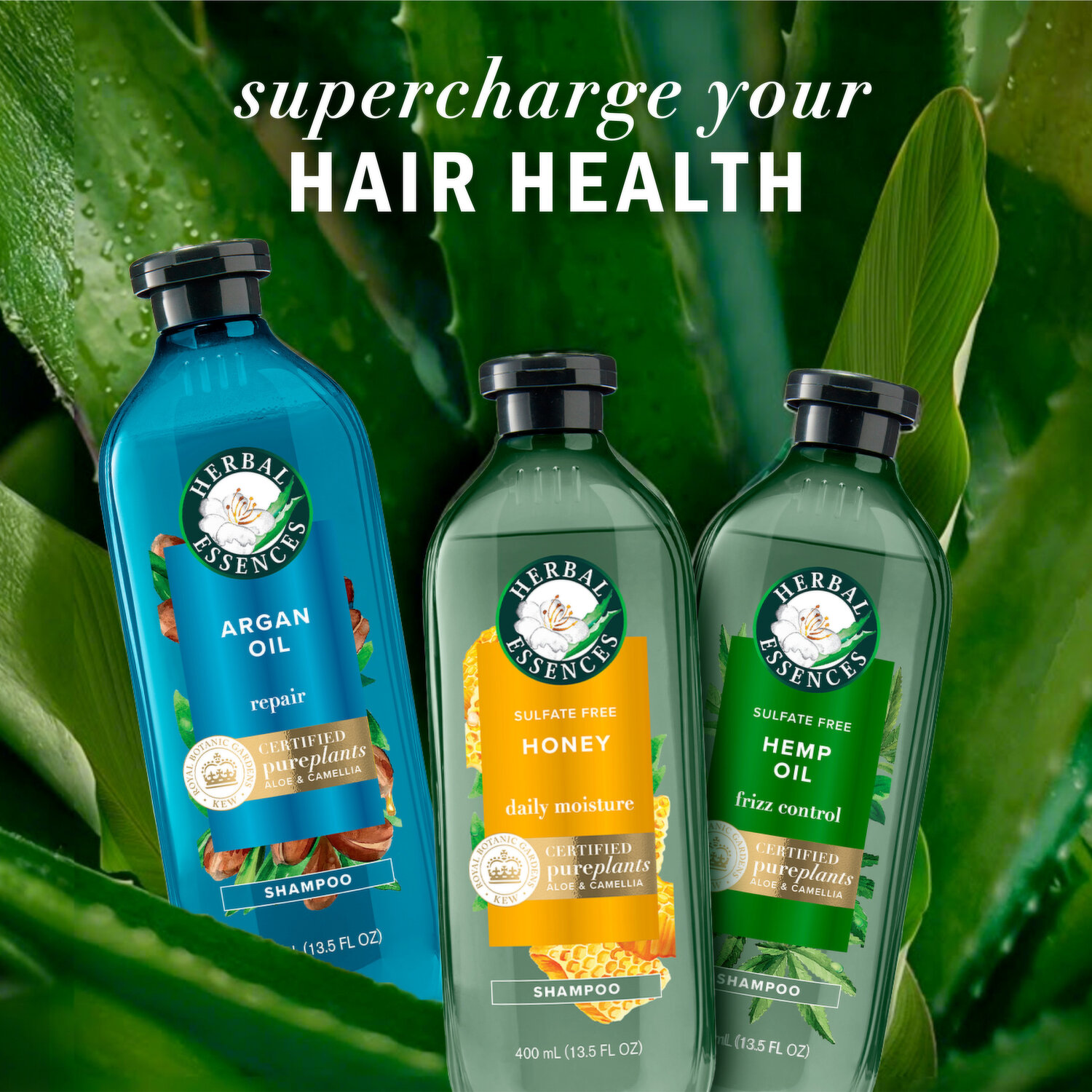 シャンプー asulong ORGANIC OIL SHAMPOO & TREATMENT Amazon.com : Organic Shop Hair Shampoo Blue Lagoon 280ml