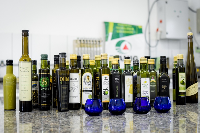 Poderão ser inscritos apenas azeites elaborados com azeitonas nacionais, produzidos e processados no Brasil; Foto: Divulgação