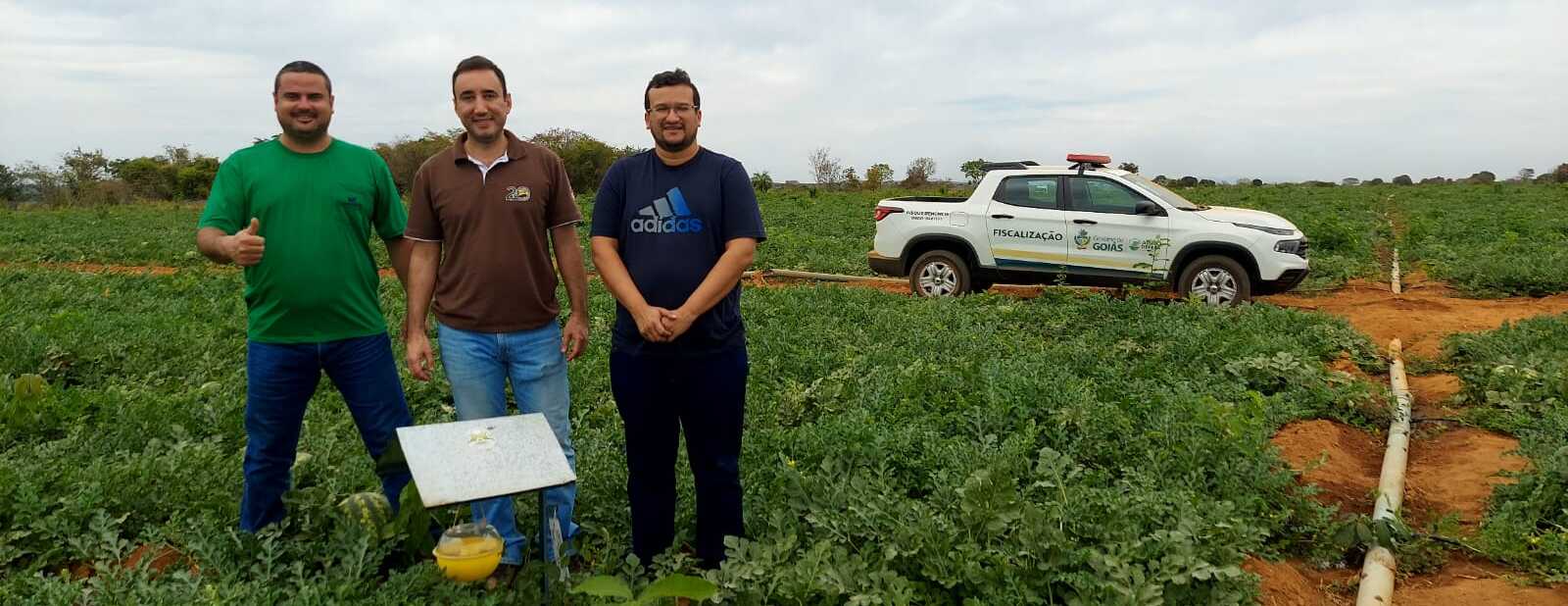 Fiscais da Agrodefesa - Foto:&nbsp;Agrodefesa