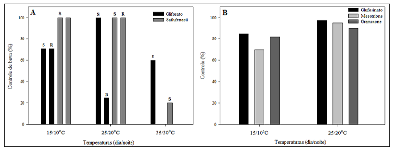 Figura 3: Eficiência dos herbicidas glifosato e saflufenacil em Conyza sp. (buva) sensível (S) e resistente (R) ao glifosato (A) e eficácia dos herbicidas glfosinato, mesotrione e gramoxone para controle de gramíneas (B) em diferentes temperaturas. Adaptado de Dennis et al., (2016) e Godar et al., (2015).