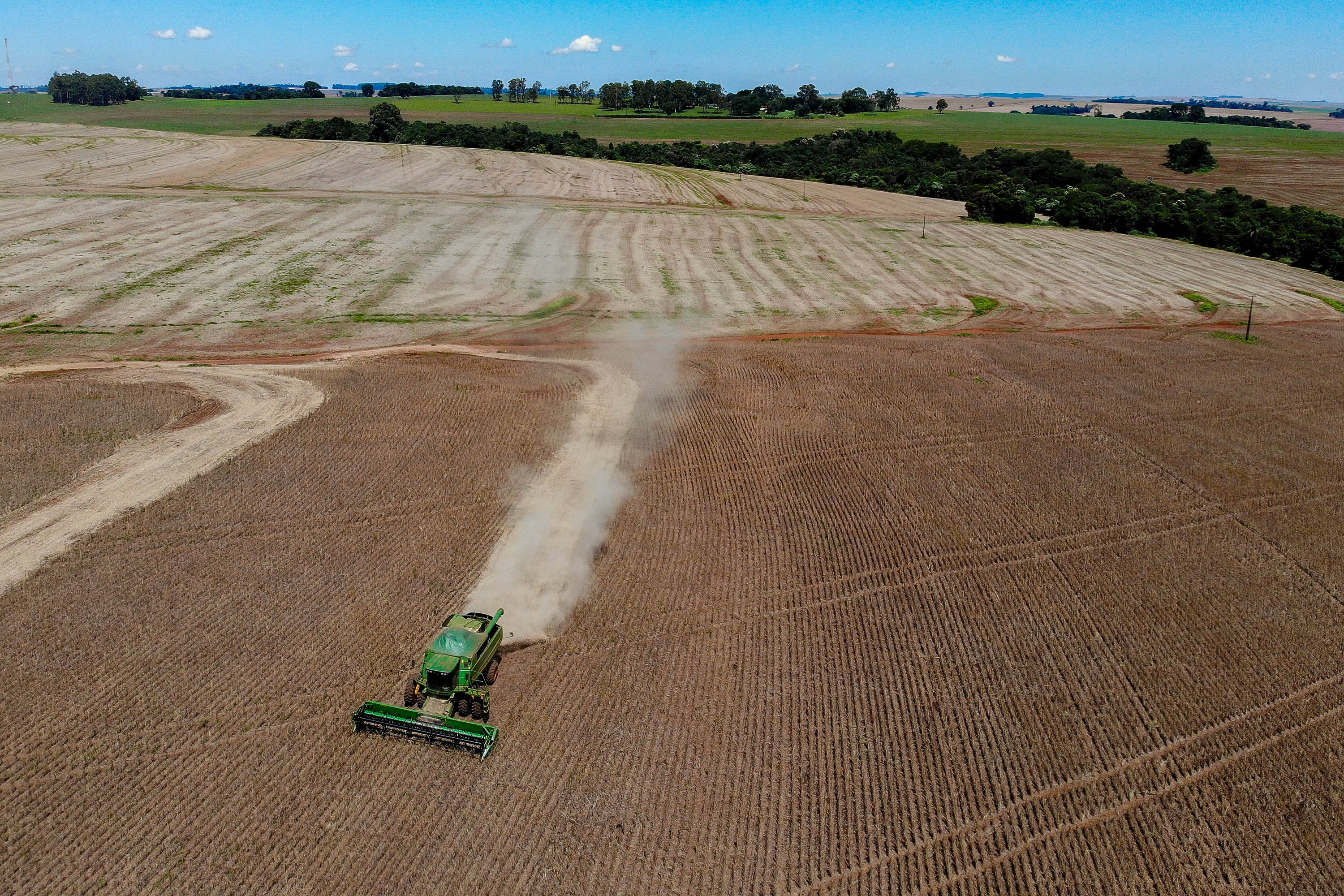 Mesmo com redução da produtividade, devido às condições climáticas, o feijão colhido é de excelente qualidade; Foto: Gilson Abreu