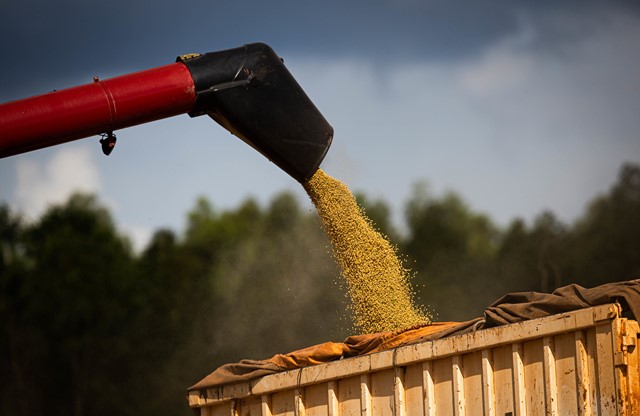 Esse acréscimo corresponde a uma taxa de crescimento de 2,7% ao ano; algodão, milho de segunda safra e soja devem continuar puxando o crescimento da produção de grãos; Foto: Wenderson Araujo/CNA