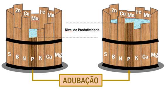 Figura 1. Representação da “Lei do Mínimo” e influência da adubação na alteração do Nível de Produtividade