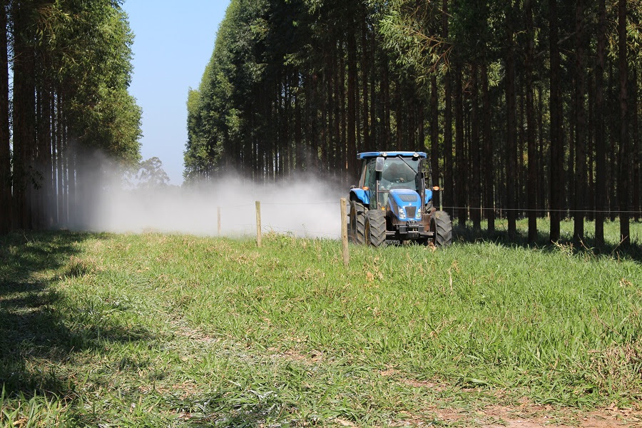 Técnicos e produtores da região de Bebedouro, Marília e Itapetininga terão a oportunidade de conhecer mais sobre o uso eficiente de fertilizantes no campo. - Foto: Divulgação Embrapa