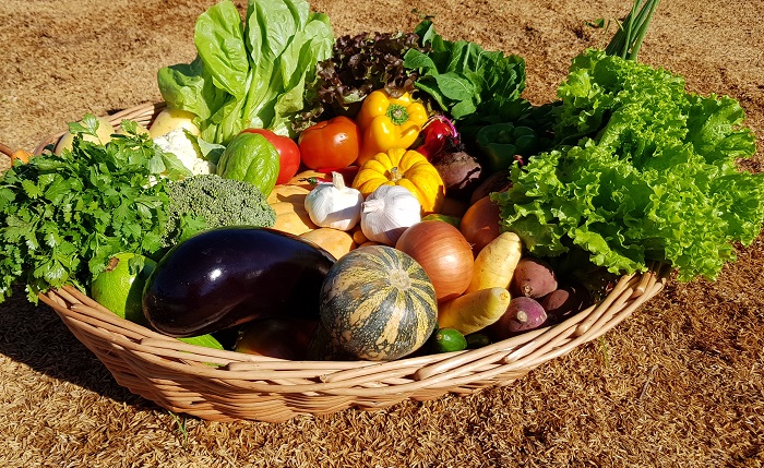 Termo diz respeito ao aumento dos teores de vitaminas e minerais de alimentos, melhorando a sua qualidade nutricional; Foto:&nbsp;Gislene Alencar