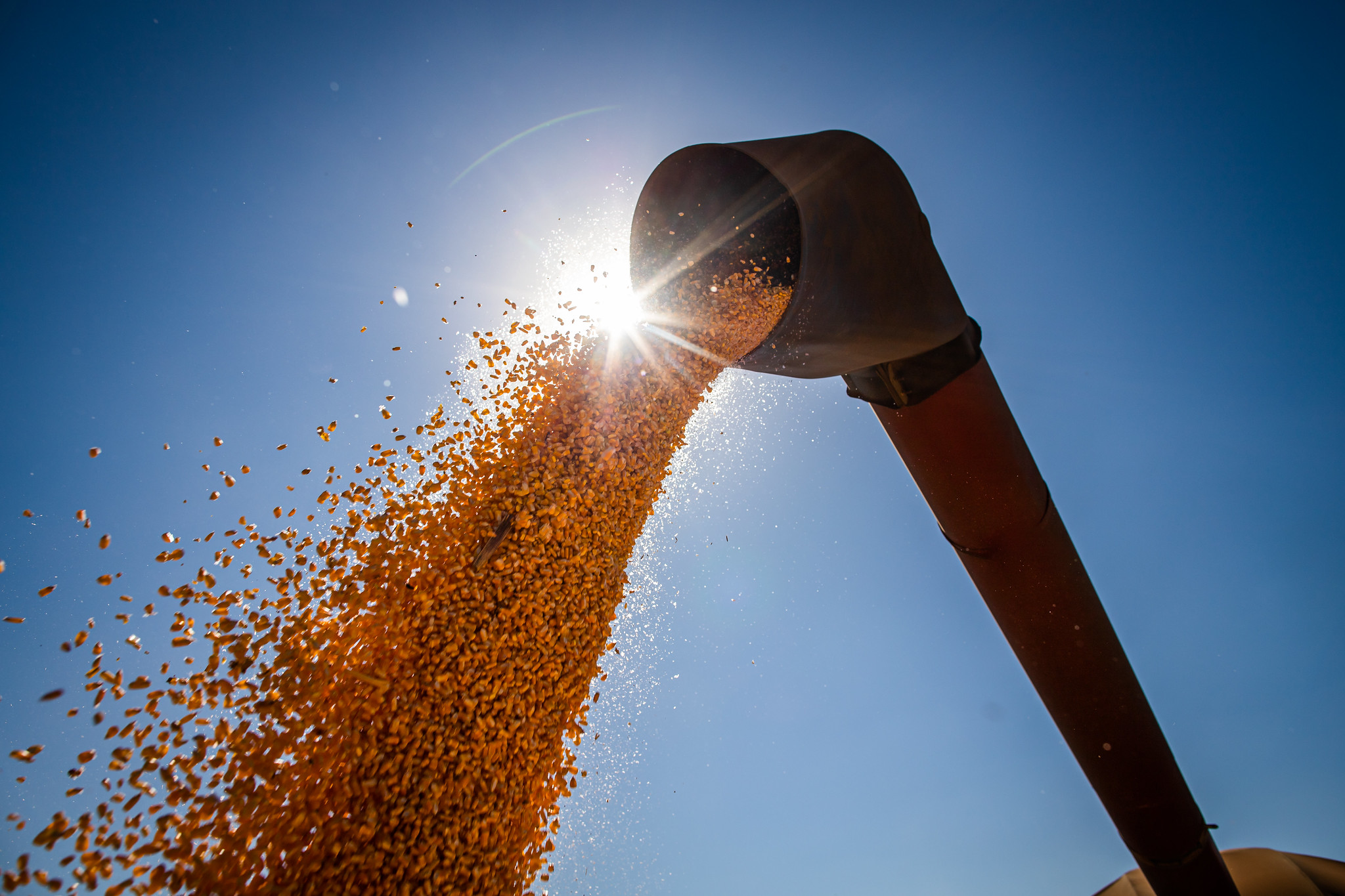 Ritmo do plantio de soja e milho, que vinha atrasado, acelerou nas últimas duas semanas; produtividade ficou acima do estimado pela regressão, levando à expectativa de um rendimento maior. - Foto: Wenderson Araujo/CNA