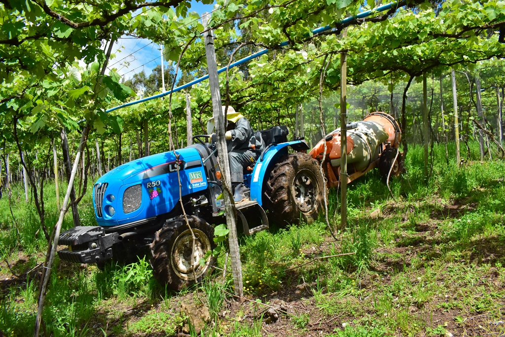 Model adapts perfectly to operations such as applying pesticides and cleaning streets between vine lines