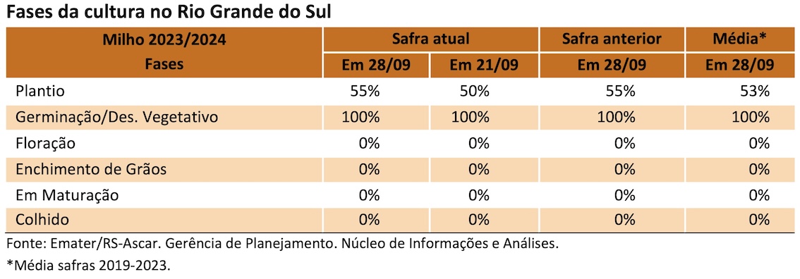 Fases da cultura do milho no RS em 28-09-2023