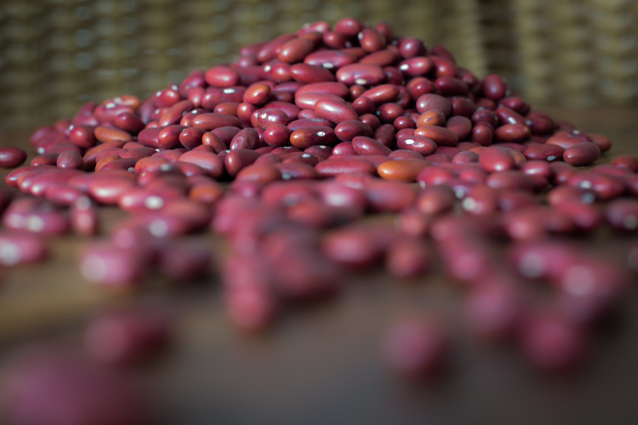 Mato Grosso, Paraná, Goiás, Minas Gerais e Rio Grande do Sul são os maiores exportadores dos produtos. - Foto: Wenderson Araujo/CNA