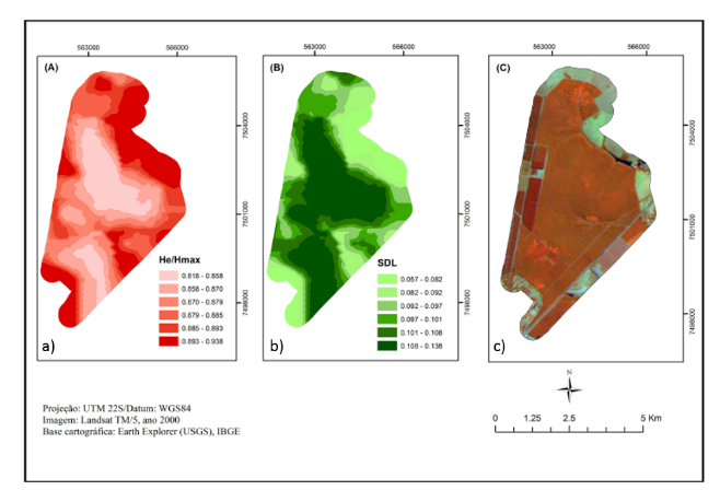 Mapas de complexidade da estação ecológica de Itirapina (SP). Com a aplicação dos algoritmos sobre a imagem de satélite original (Fig ‘C’), é possível qualificar e semi-quantificar indicadores estruturais e fitofisionômicos, bem como áreas de transição (Figuras ‘a’, ‘b’ - métricas He/HMax, SDL), antes não evidentes.&nbsp;