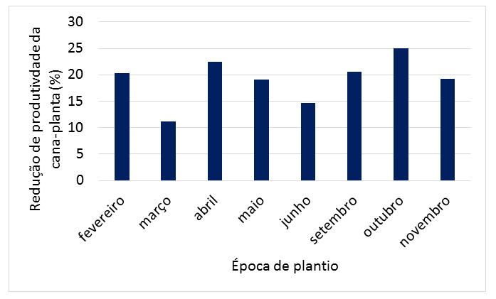 Figura 1. Redução de produtividade da cana-planta, plantada em diferentes épocas do ano, devido aos nematoides.