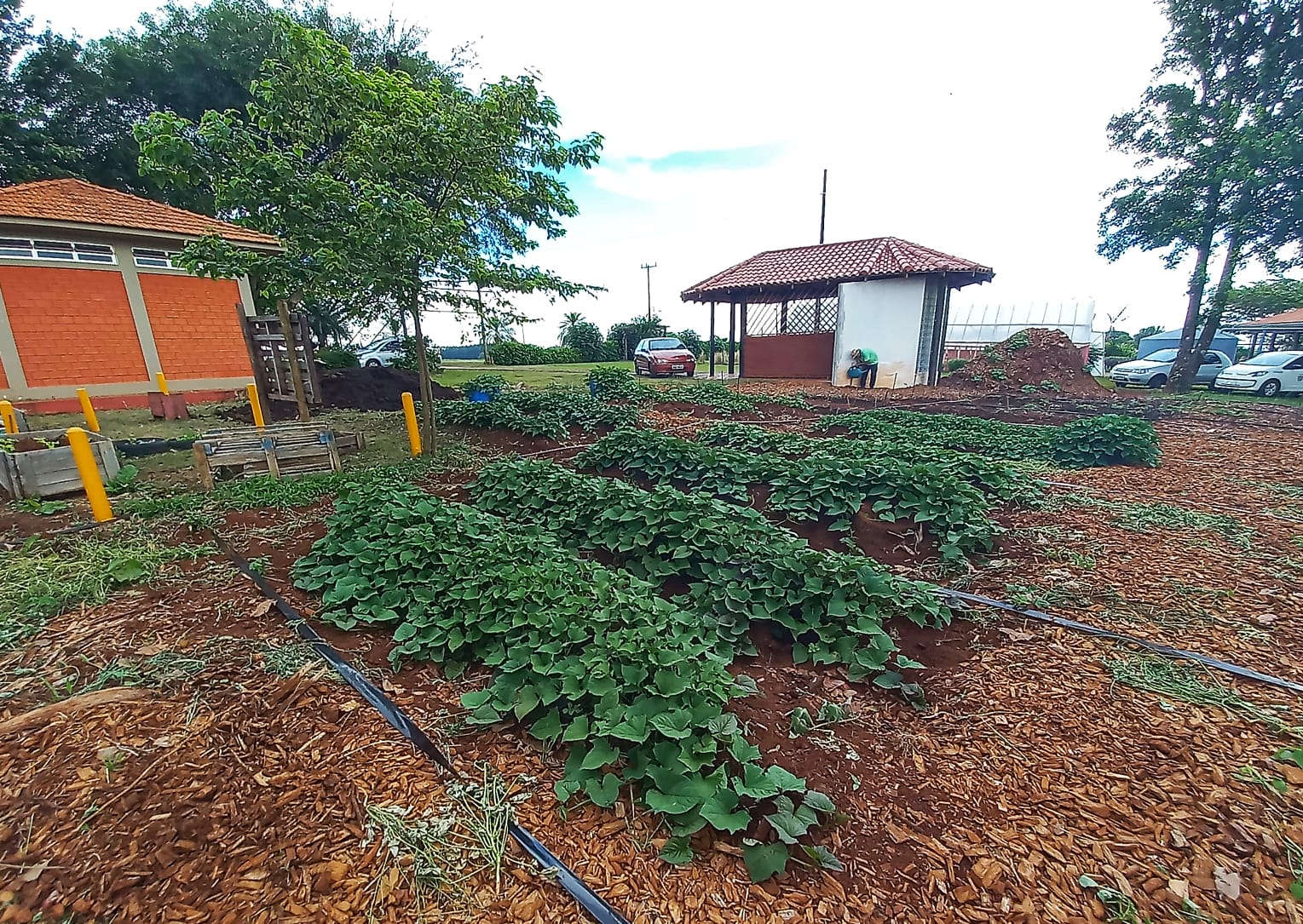 Embrapa Clima Temperado marca presença em vitrine sobre agroecologia no Show Rural Coopavel 2023; Foto: Divulgação Embrapa