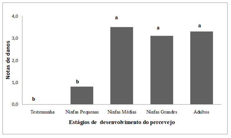 Figura 1 - Índice de dado (notas) segundo a escala de Bianco (2004) em plantas de milho submetidas às infestações de diferentes estágios de desenvolvimento do percevejo barriga-verde Dichelops melacanthus, em casa-de-vegetação. Dourado, MS. Médias seguidas pela mesma letra, nas colunas, não diferem entre si pelo teste de Tukey (p&lt;0,05).