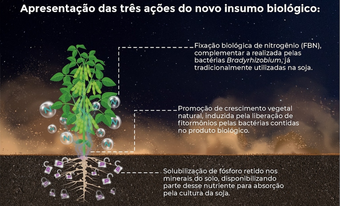 Apresentação de ações do&nbsp;NOD PHOS