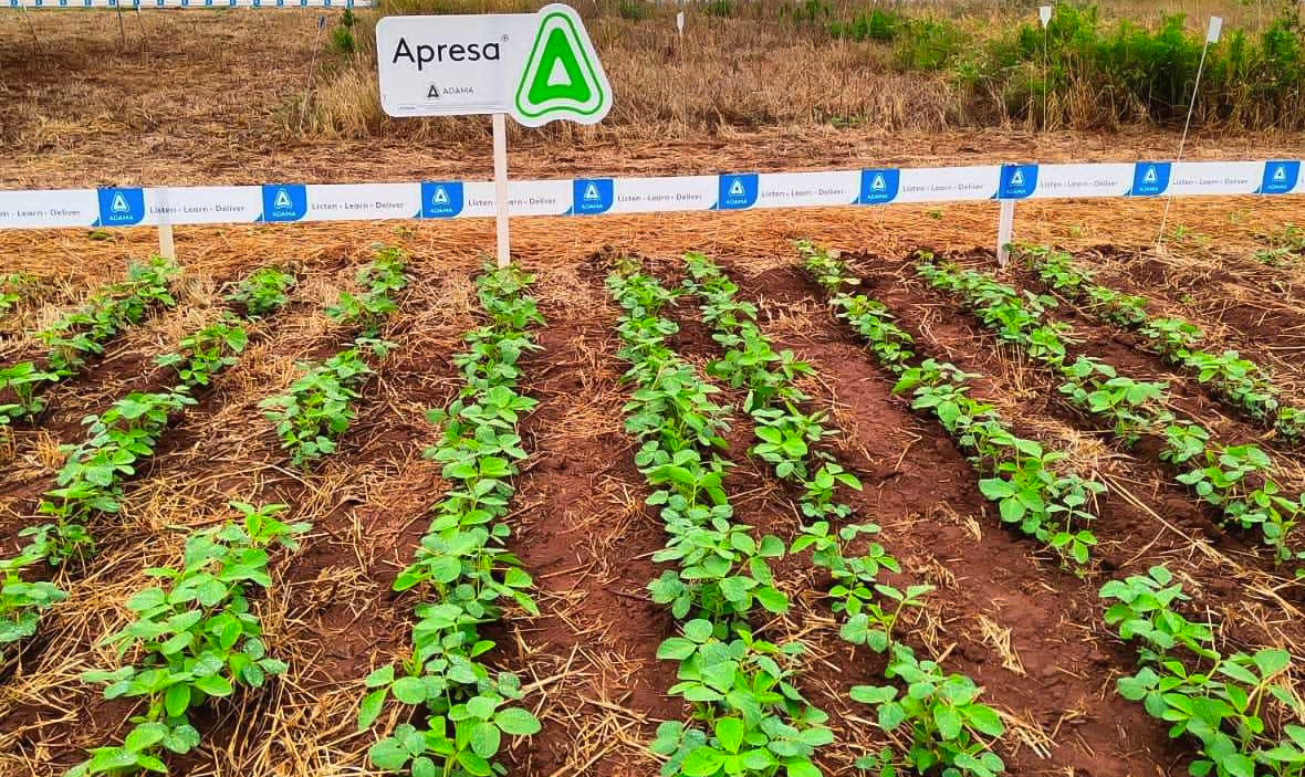 Apresa é o pré-emergente lançamento da ADAMA. Máxima eficácia no controle em pré-emergência das daninhas.