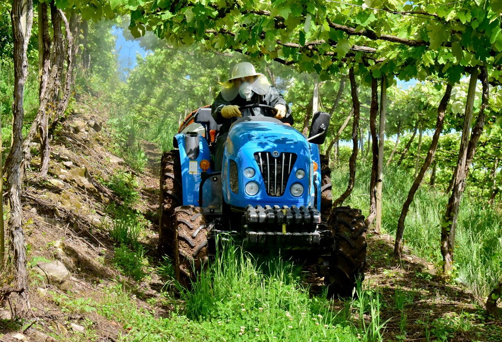 The LS R50 proved to be an excellent tool for vine and peach cultivation areas on properties in Serra Gaúcha