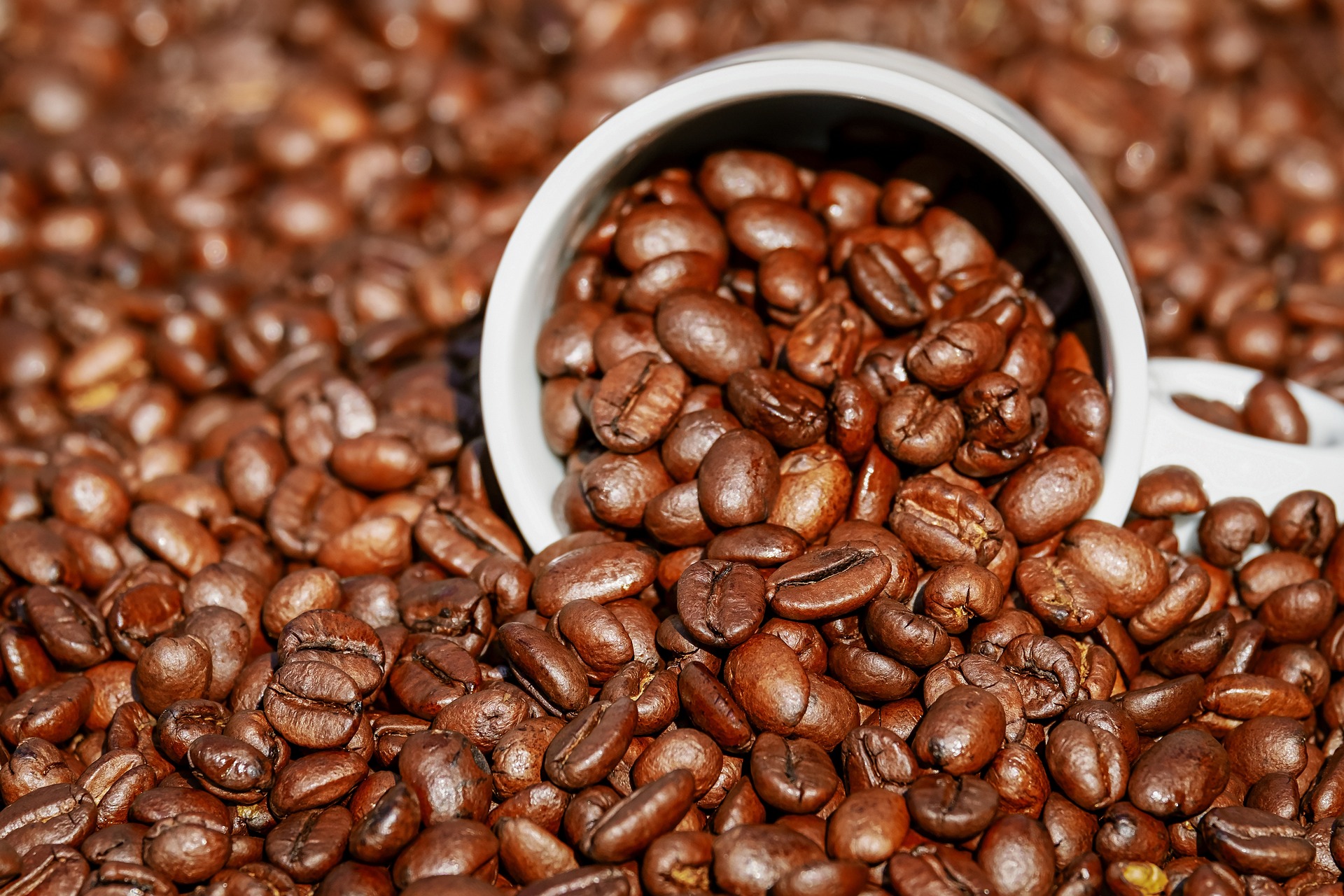 Em 2022 foram exportadas cerca de 2,2 milhões de toneladas de café para mais de 100 países
