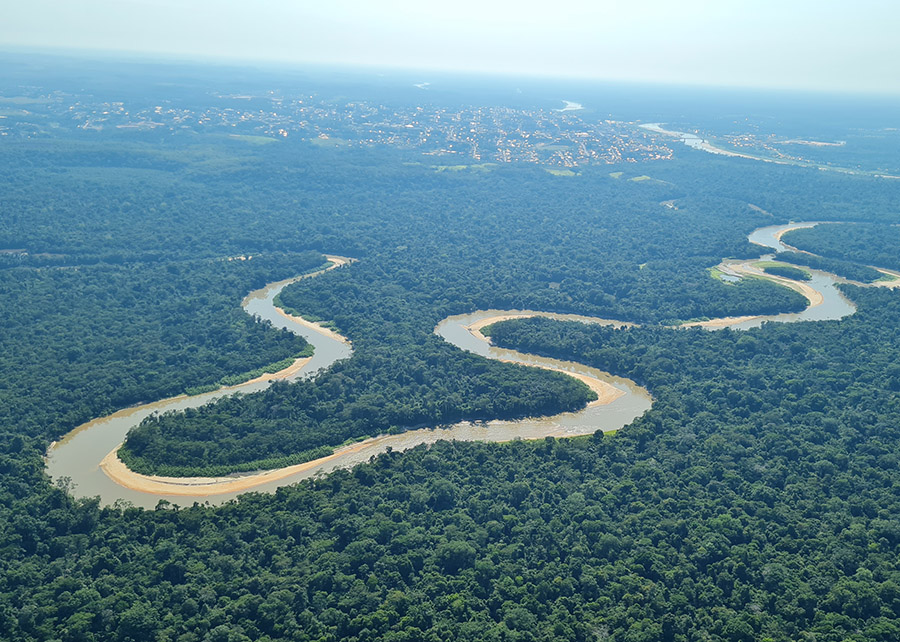 Estado possui 380 mil hectares de pastagens em degradação que podem ser convertidas em sistemas produtivos sustentáveis;&nbsp;Na foto, floresta na região do Juruá (AC); Foto:&nbsp;Eufran Amaral