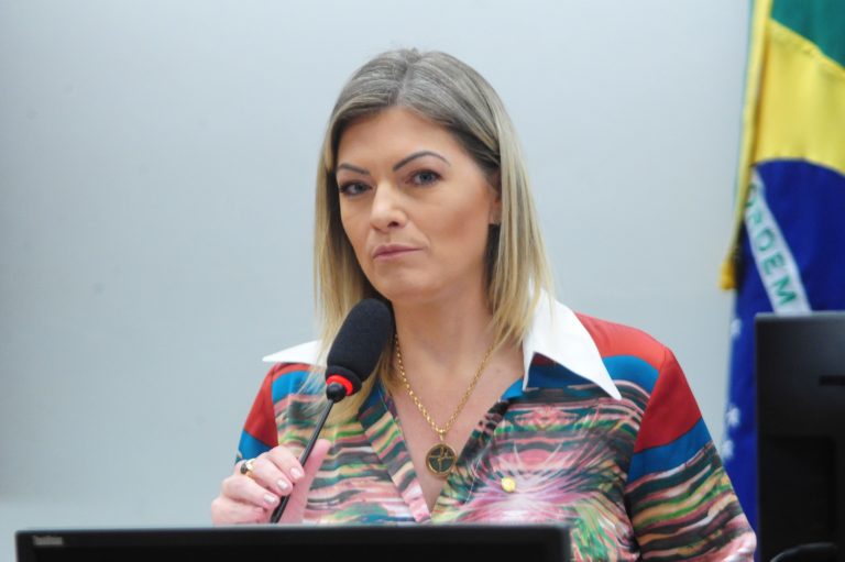 "Alguns produtos e insumos aumentaram de 100% a 400%”, explica a deputada Aline Sleutjes — Foto: Billy Boss/Câmara dos Deputados