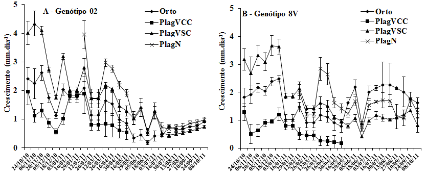 Figura 1. Taxa de crescimento vegetativo de grupos de ramos ortotrópicos e plagiotrópicos de C. canephora no Espírito Santo, ao longo do ano. Genótipo 02 (A) e genótipo 8V (B). As barras representam o erro padrão da média.&nbsp;