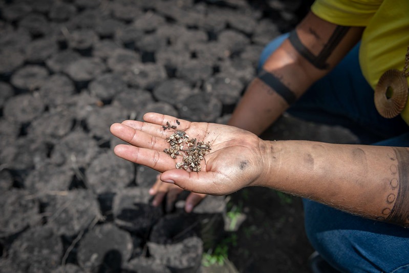 Foto: André Dib / USFS Brasil