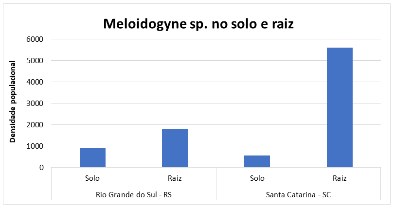 Gráfico 1 – Número médio de juvenis de Meloidogyne sp., encontrados em 200 cm³ de solo e 10 gramas de raízes nos diferentes municípios amostrados nos estados do RS e SC.&nbsp;