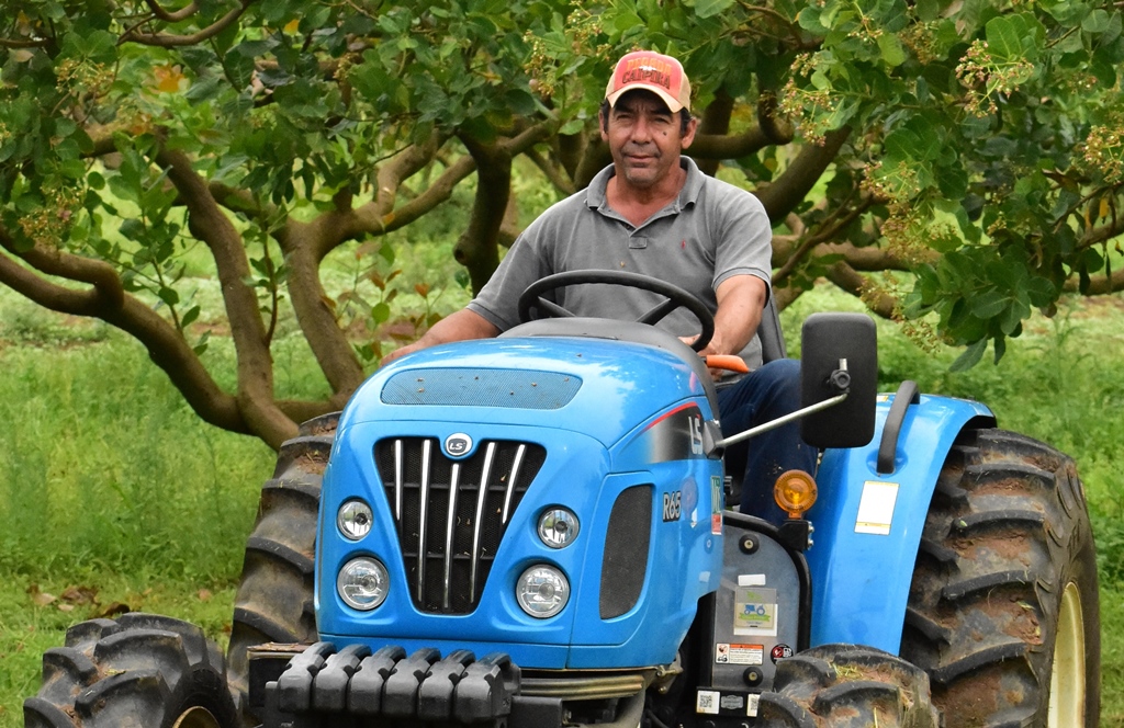 Donizete Aparecido Leme is a cashew, dragon fruit and lychee producer in Sítio Cajueiro