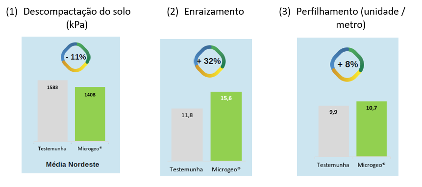 Gráficos. Resultados médio de (1) resistência a penetração do solo, (2) biomassa de raiz e (3) contagem de perfilho por metro, comparando as áreas testemunha (sem aplicação da Biotecnologia Microgeo) e com uso da Biotecnologia Microgeo em propriedades cultivadas com cana-de-açúcar, localizadas no Nordeste brasileiro, durante a safra 2021/22.&nbsp; &nbsp;