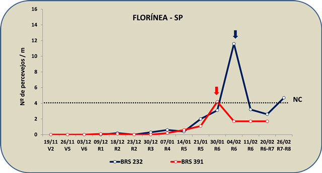 Figura 1. Flutuação populacional de percevejos em cultivares de soja nos municípios de Florínea e Cândido Mota, São Paulo, na safra 2014/15. As setas indicam o momento das aplicações de inseticidas segundo o nível crítico (NC = 4 percevejos / m) para cada cultivar.