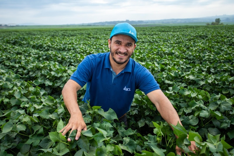 “Será um momento importante de apresentação das tecnologias e resultados de pesquisas que vêm sendo conduzidas nos últimos anos”,&nbsp;Estevan Penha, gerente de Desenvolvimento de Mercado - Cerrado Oeste da ICL. - Foto: Divulgação