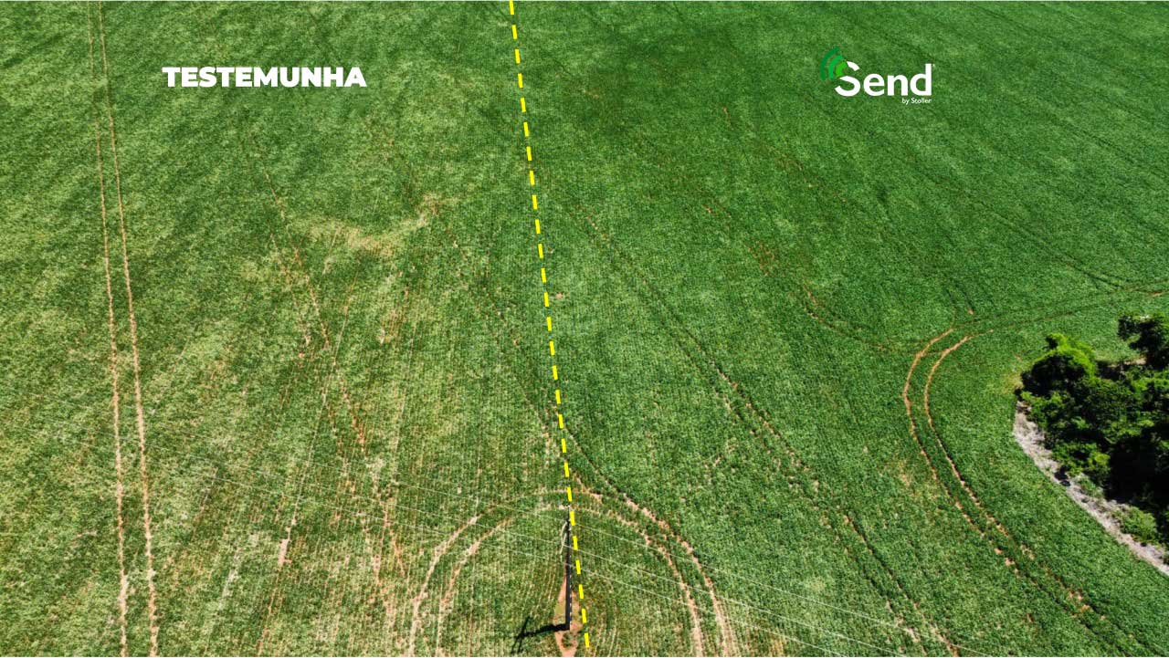 Teste mostra eficiência do Send para o tratamento de semente on farm, realizado em 350 propriedades rurais no Brasil e Paraguai. Em destaque: Itakyry, no alto Paraná, no Paraguai.