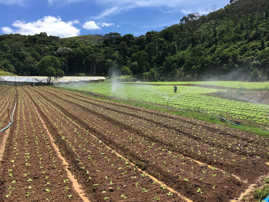 Plataforma ajuda a selecionar melhores áreas para irrigar de acordo com o solo, sistemas de irrigação e cultura vegetal. - Foto:&nbsp;SilvioTavares