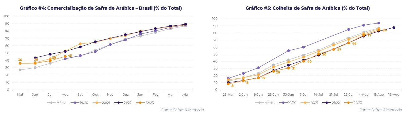 Gráficos&nbsp;